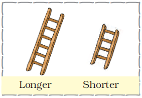 A long ladder and a small ladder.