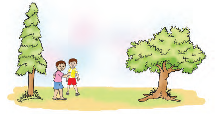 There are two trees at a distance from each other. Two boys  are standing near the first tree.