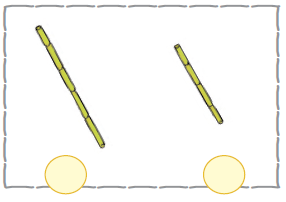 The first image is that of a long bamboo stick and the second image is that of the shorter bamboo stick.