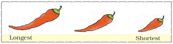 There are three chilies. The first one is the longest, the last is the smallest and one  more chili lies in the middle.