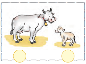 The first image is that of a cow and the second image is that of its young one.