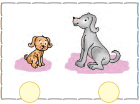 The first image is that of a young one of a dog and the second image is that of a dog.