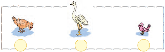 There is a hen, an ostrich and a chick.