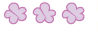 Three flowers