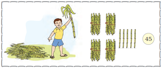 A boy is holding a sugarcane in his hand and there are many sugarcanes lying on the ground.  Next to this image, there are four bundles of sugarcane drawn, with ten sugarcanes in each bundle and five more sugarcanes are drawn, making it a total of forty five .