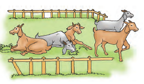 A grey horse and a brown horse are moving out of the farm, while the rest of them are still sitting.