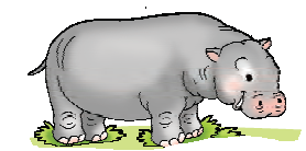 एक बड़ा दरियाई घोड़ा।