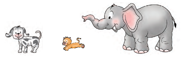 एक कुत्ता, एक बिल्ली और एक हाथी है। 