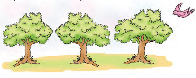 एक पंक्ति में तीन पेड़ हैं और एक पक्षी पंक्ति में आखिरी पेड़ के पास उड़ रहा है।