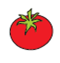 टमाटर 