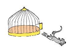 आखिरी चूहा भी पिंजरे से भाग गया और _________ चूहा पिंजरे में रह गया। 