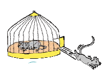 दो में से एक और चूहा भाग गया और _________ चूहा पिंजरे में रह गया। 