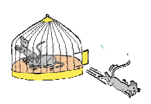 तीन में से एक चूहा पिंजरे से भाग गया और ___ चूहे पिंजरे में रह गए। 