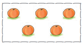 एक संतरा के बाद एक संतरा, उसके बाद एक संतरा , उसके बाद दो और संतरे 