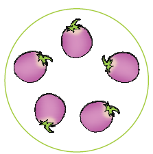 पांच बैंगन 