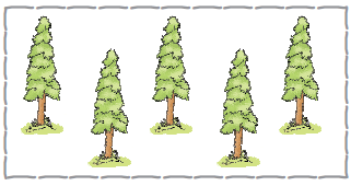 पांच पेड़ 