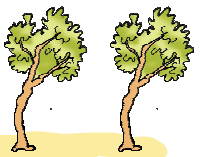 एक पंक्ति में दो पेड़। 