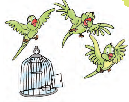 तीन तोते एक पिंजरे से मुक्त होकर उड़ रहे हैं। 