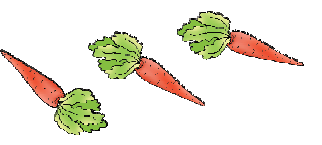 एक गाजर उसके बाद दूसरी गाजर और एक और गाजर। 