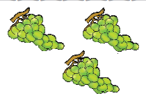 अंगूर के तीन गुच्छे। 