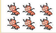 छह चींटियाँ। 