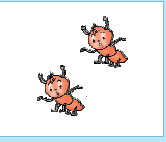 दो चींटियाँ।