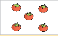 पांच टमाटर।