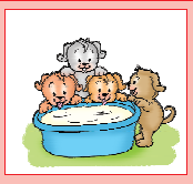 दूध से भरे कटोरे के चारों ओर चार पिल्ले बैठे हैं 