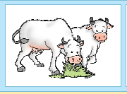 दो गायें।