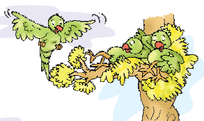 दो तोते एक पेड़ पर आराम कर रहे हैं और दूसरा उनके पास उड़ रहा है। 