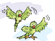 दो तोते उड़ रहे हैं। 