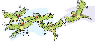 पांच तोते उड़ रहे हैं। 