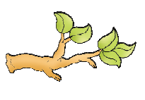 ____ पत्ते अब शाखा पर बचे हैं। 