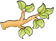 एक पेड़ की शाखा पर नौ पत्ते होते हैं। 