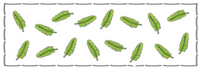 सोलह पत्ते हैं। 