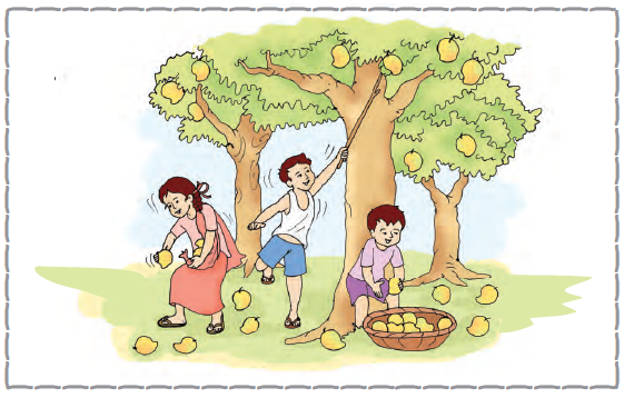 एक पेड़ पर तीन आम हैं, दूसरे पेड़ पर चार आम हैं और तीसरे पेड़ पर दो आम हैं, एक लड़की है, जिसके पास तीन आम हैं और चार आम उसके पास जमीन पर पड़े हैं। एक लड़का पेड़ से आम निकालने के लिए छड़ी का उपयोग कर रहा है और दूसरा लड़का टोकरी में आम डाल रहा है, उसके हाथ में एक आम है, उसकी टोकरी में सात आम हैं और चार आम उसके पास जमीन पर पड़े हैं। 