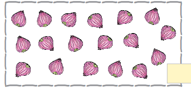 पहली पंक्ति में छह प्याज, दूसरी पंक्ति में छह प्याज और तीसरी पंक्ति में छह प्याज हैं। 