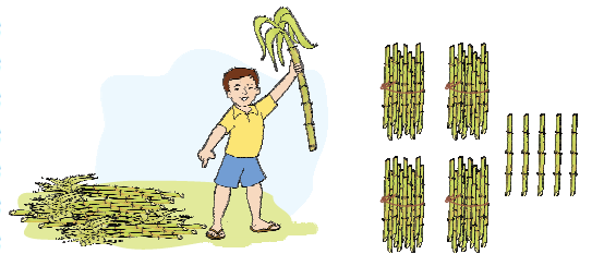 एक लड़के के हाथ में गन्ना है और जमीन पर बहुत से गन्ने पड़े हैं। इस छवि के आगे, गन्ने के चार बंडल खींचे गए हैं, प्रत्येक बंडल में दस गन्ने हैं और पांच और गन्ने खींचे गए हैं, जिससे यह कुल पैंतालीस बन जाता है। 