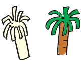 The cut ends are turned down and it looks like a tree. Then it is colored.