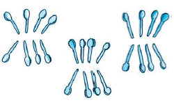 There are three groups of spoons with eight spoons in each group.