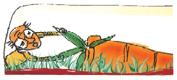 The old man is trying out a big carrot from the ground.