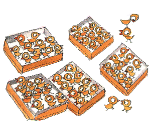 There are five baskets chickens, with ten chickens in each basket. There are four chickens outside the baskets.