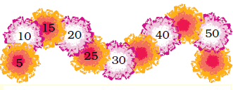 Some numbers are written on flowers. Number five is written on the first flower, ten on the second, fifteen on the third, twenty on the fourth, twenty five on the fifth, thirty on the sixth, seventh flower is blank, forty is written on the eighth, ninth flower is blank, fifty is written on the tenth and eleventh flower is blank.