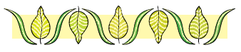 The sequence begins with a broad leaf in the center and one narrow leaf on its side. Then the pattern is placed upside down and then it is repeated.