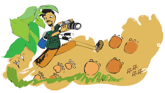 A man with a camera in his hand, walking in a jungle and is looking at the footprints of baby animals on the muddy road in the jungle.