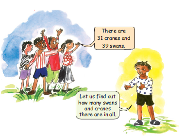 A boy is asking how many cranes and swans are there in all. A group of children is replying that there are thirty one cranes and thirty nine swans.