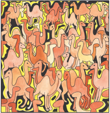 अनेक ऊंट 