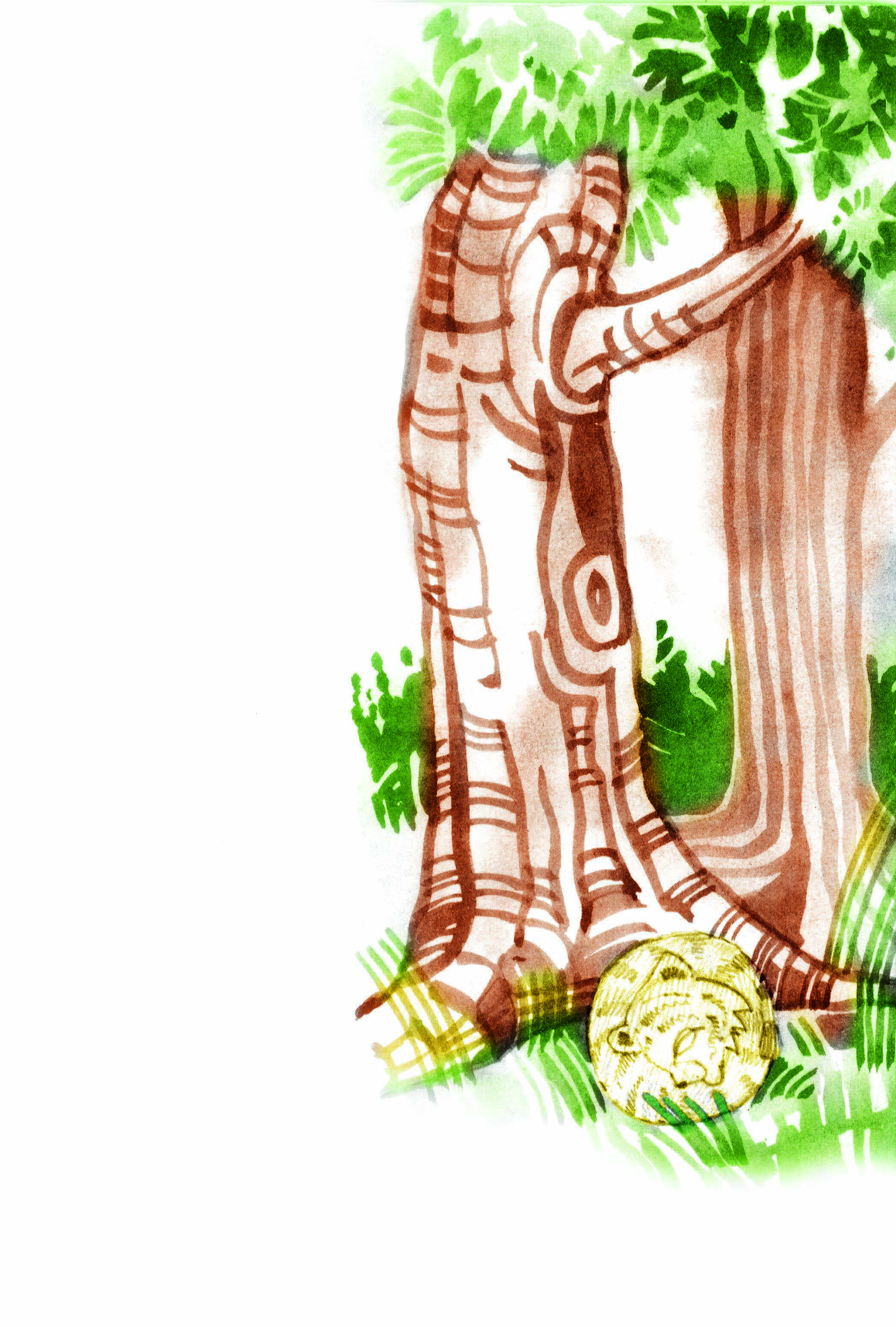 एक पेड़ के नीचे एक शेर का बच्चा गोल मटोल सिकुड़ कर सो रहा है।