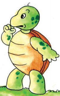 एक कछुआ 