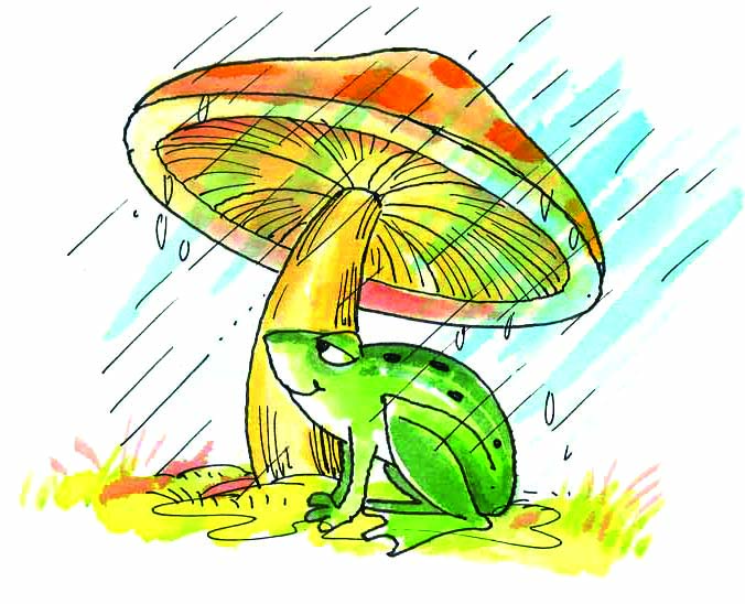 तेज  बरसात में एक मशरूम के नीचे छुपा हुआ एक कछुआ